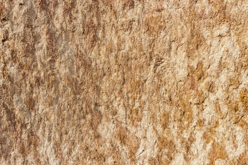 brown cracked soil as background.