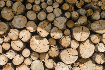 wooden logs stacked on one another

