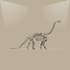 Dinosaur skeleton in a museum lighting vector illustration