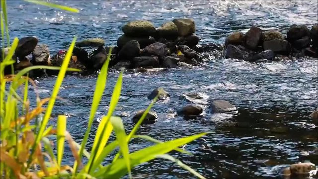Wasserstau