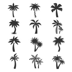Fototapeta na wymiar Tropical palm tree vector icons set. Silhouettes on the white background