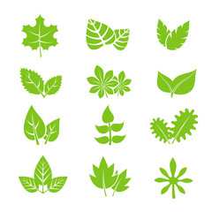 Green leaves vector icons set