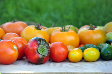 Crop of yellow and red tomatoes, cucumbers, sweet peppers on light wood surface. Side view, selective focus.