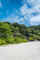 Beautiful tropical similan island white sand beach - Travel summer beach holiday concept.	
