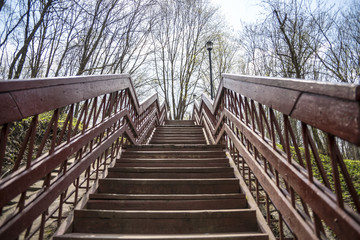 Beautiful wooden stairs in the blue sky. Stairs in the park. Stairs through trees.