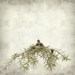 Fototapeta premium textured old paper background