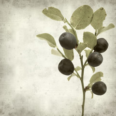 textured old paper background