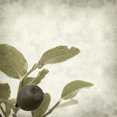 textured old paper background