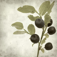 textured old paper background