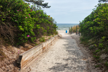 Entrance To The Beach in Wladyslawowo