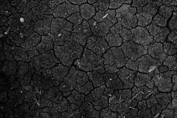 Dry ground wallpaper