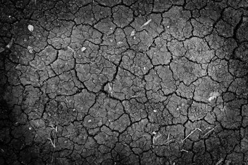 Dry ground wallpaper
