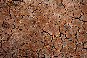 Dry ground wallpaper