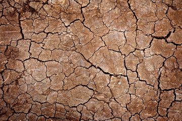 Fototapeta premium Dry ground wallpaper