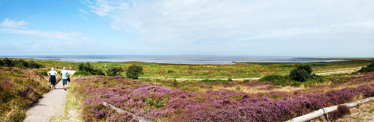 Spaziergang in der Duhner Heide, Panorama