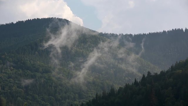 fog in mountains