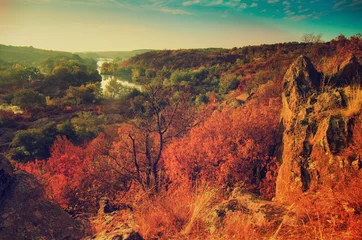 Rural autumn beautiful landscape with river and colorful trees, seasonal vintage background