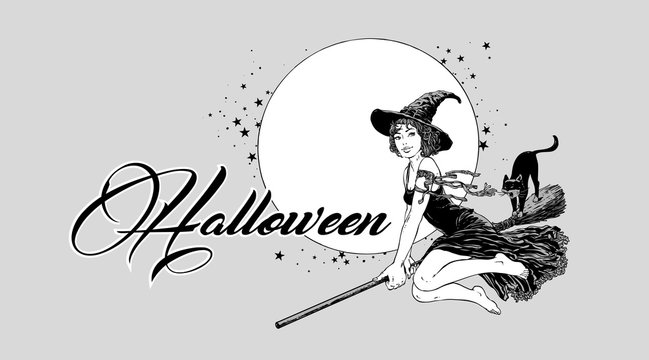 Young halloween witch flying on broom vector illustration