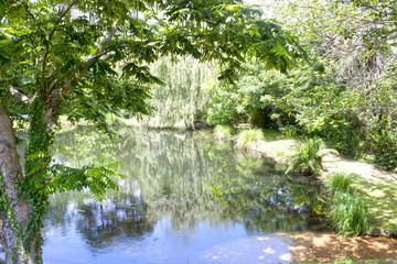 Lake in a ganden full of trees with their reflection