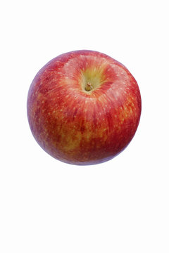 Scilate apple (Malus domestica Scilate). Hybrid between Royal Gala and Braeburn apples. Known as Envy apple also. Image of single apple isolated on white background