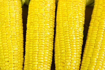 Grains of ripe corn