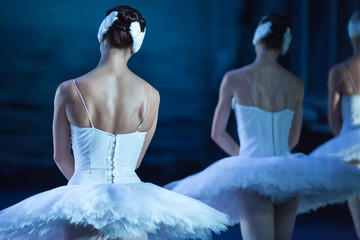 Ballet swan lake.  statement. Ballerinas in the movement.