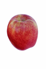 Ambrosia apple (Malus domestica Ambrosia). Hybrid between Golden  Delicious and Jonagold or Starking Delicious apples probably. Image of single apple isolated on white background