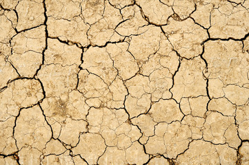 Dry land background