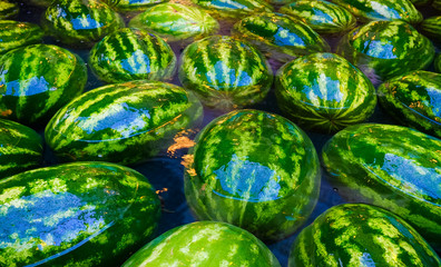Watermelon in water