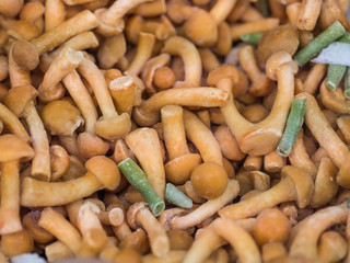 Vegetables in a supermarket. Frozen wild mushrooms.