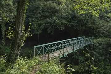 Old pedestrian bridge in the woods