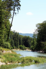 trees-seam-a-river.jpg