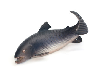 Salmon figurine on white background