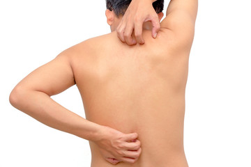 Itching behind the plate on a white background isolated.