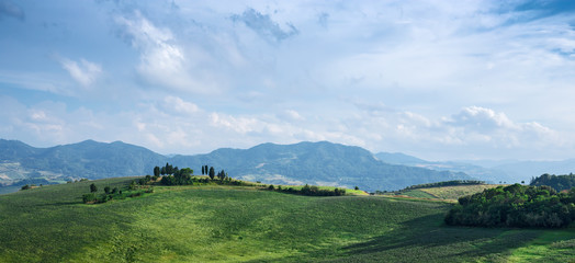Fototapeta na wymiar Italian landscape in Tuscany