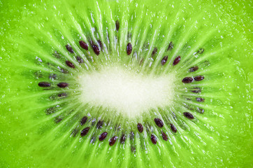 Close up of kiwi fruit texture background