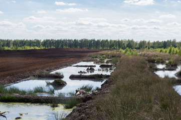 Torfmoor / Torfabbau / Moorlandschaft
