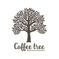 Hand drawn graphic tree with coffee beans. Vector illustration for labels, packs, logo design.