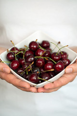 Hands holding a white bowl with ripe cherries. Shallow dof