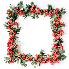 Creative arrangement frame made of rowan. frame, flat lay, top view