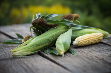 corn on the cob © mariyakuprevich