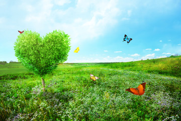Obrazy na Szkle  Piękne pole z drzewem w kształcie serca i motylami. Streszczenie tło krajobraz.