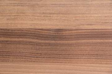 Fototapeta premium wood grain