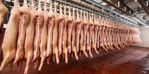 Chopped pig at a factory