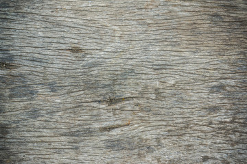 Fototapeta premium Detail texture of old bark wood