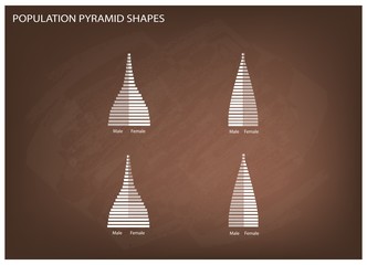 The 4 Types of Population Pyramids Graphs