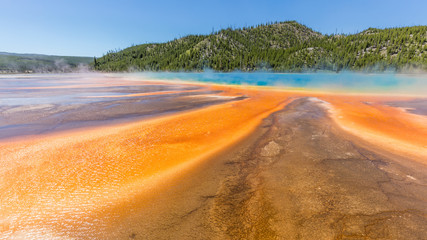Beautiful Grand Prismatic Spring against blue sky. Amazing scenery at Midway Geyser Basin, Yellowstone National Park, Wyoming