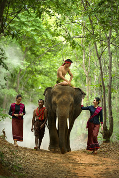 Kui peoples in thai with elephant