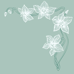 Background With Orchid Line Art