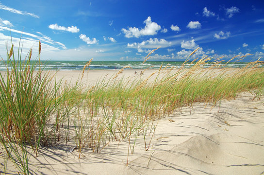 Grass sand dune beach sea view, ventspils, latvia